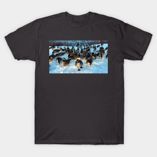 Mallard Duck and Canada Goose Flock In The Snow T-Shirt